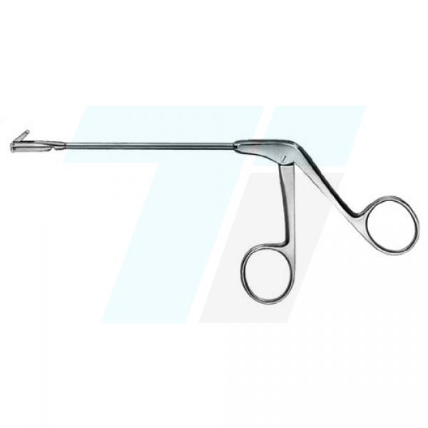 Rhinology